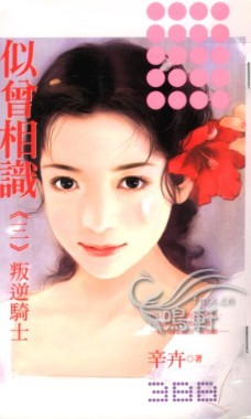 叛逆骑士