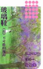 玻璃鞋（四）─不可能的邂逅