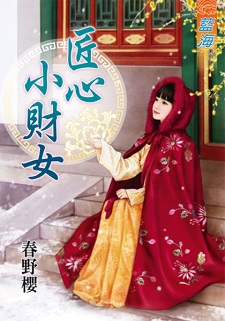 匠心小财女(下)
