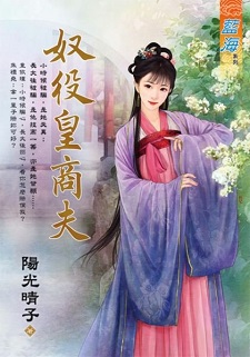 奴役皇商夫(上)