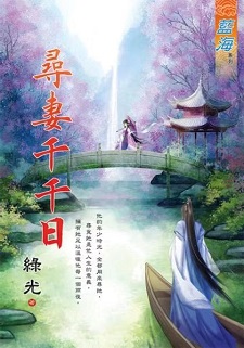 尋妻千千日(下)